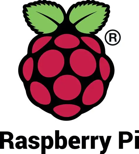 Raspberry pi